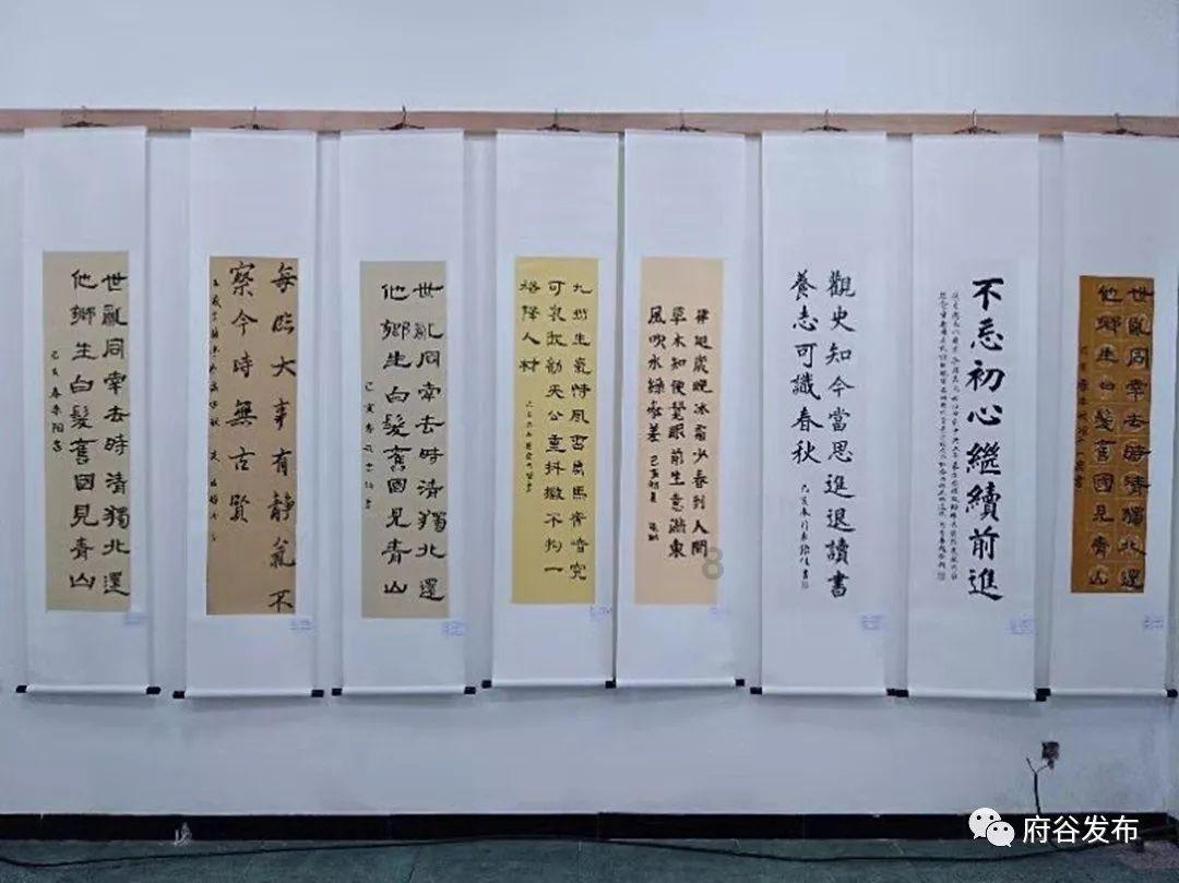 优质问答网站为什么中国有的女生第一胎想养个女儿,却养了儿子?,提供专业解答